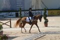 Dressage - Freestyle